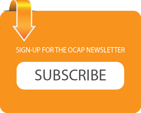 Orange Newsletter Signup Button