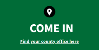 Image for come in