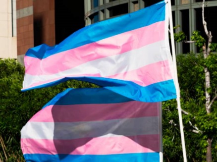 transgender flags blowing in the wind
