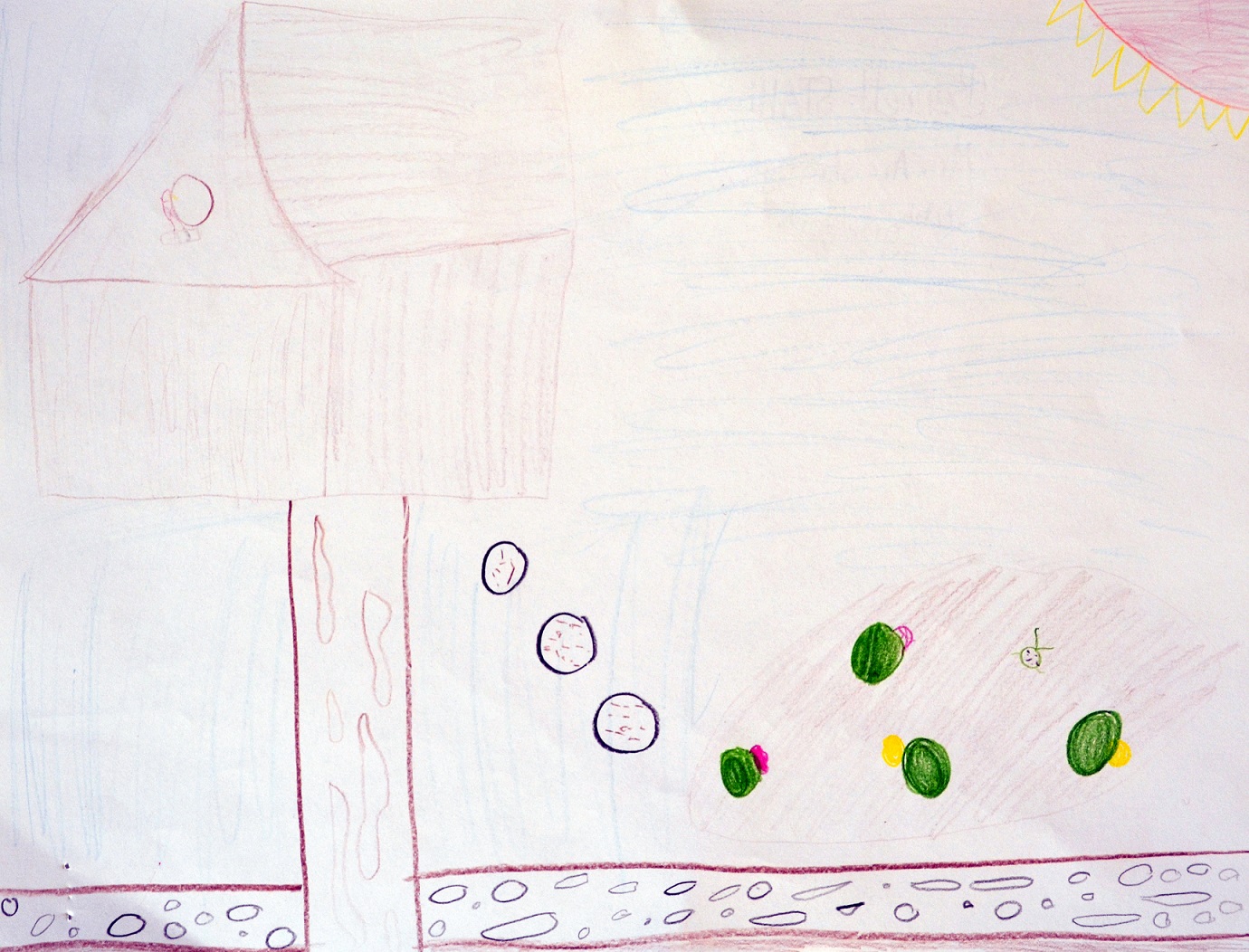 DSC_0051 Kid Drawing of a house
