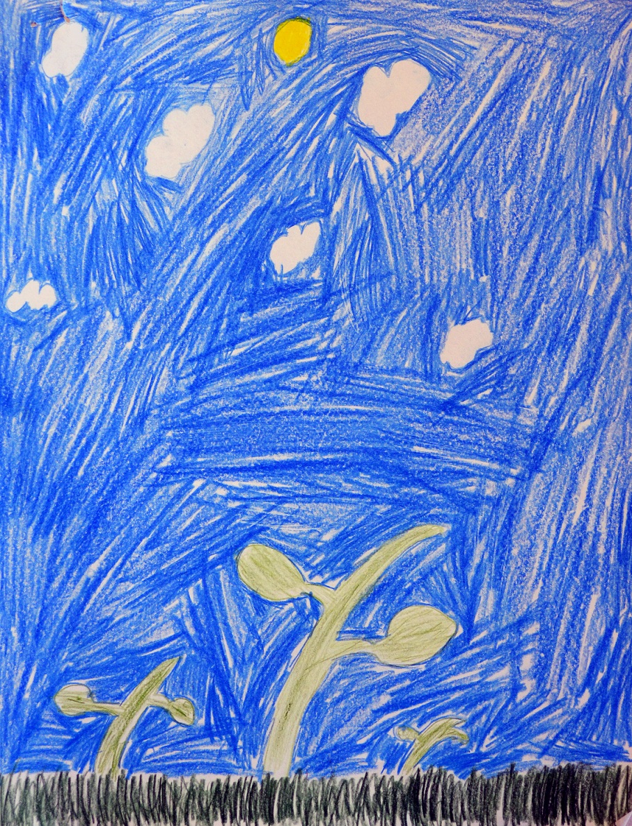 DSC_0055 Kid Drawing of plants growing