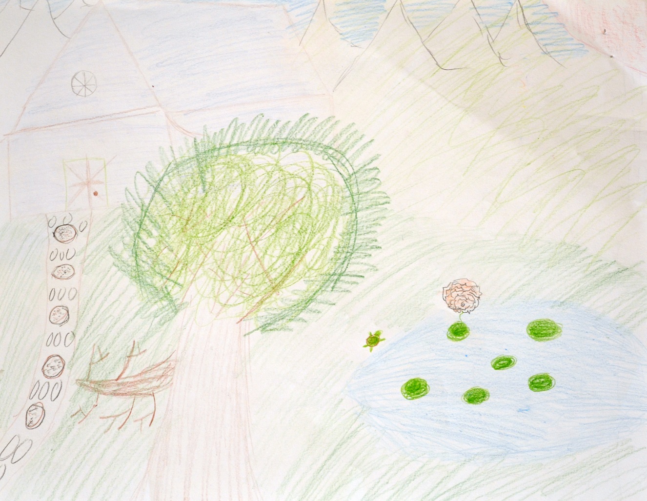 Kid Drawing of house and yard