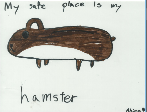 Kids' drawing of their hamster